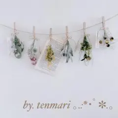 ❁ *.°6. 화환/말린 꽃/칙칙한 색상
