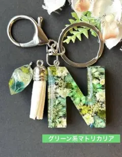 Item thumbnail for item 2a16b757-7f21-485d-878e-9187227dc3a6