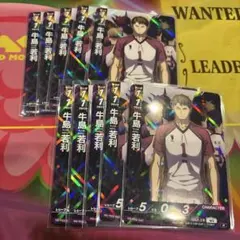 ハイキュー バボカ 牛島若利 R 10枚