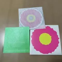 サザンカ