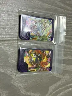 ポケモンフレンダ ガチグマ カプ・コケコ