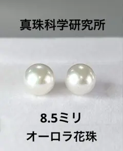 オーロラ花珠 大珠 8.7mm K18 ピアス あこや 本真珠 新品未使用 - メルカリ