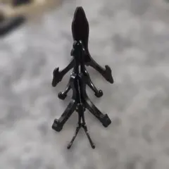 ま*ん様 スタンド4個組