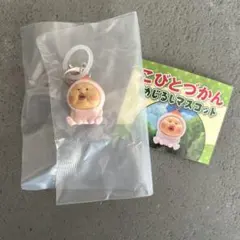 【未開封】【匿名配送】こびとづかん　めじるしアクセサリー　カクレモモジリ