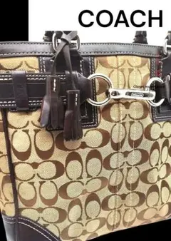 COACHコーチ シグネチャー柄 ハンドバッグ　型番10247 A4