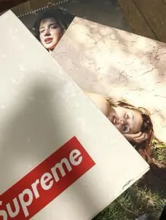Supreme 2003 カレンダー - メルカリ