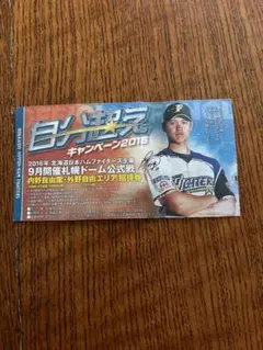 希少】 大谷翔平 2013年 ルーキー 日本ハム 旭川開催 チケット 8月