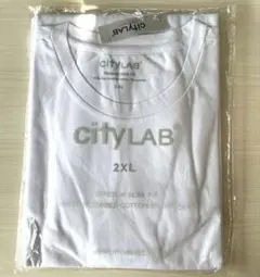 新品未使用品CityLab(シティラブ)STRECHSLIM FIT Tシャツ白のサムネイル