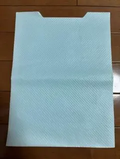 Item thumbnail for item 420266ad-7960-43dc-9463-5ccd0cbb7355