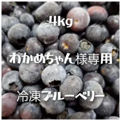 【わかめちゃん専用】冷凍ブルーベリー4kg