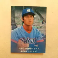 88年度 池山隆寛 ヤクルトスワローズ タカラ プロ野球12球団カード