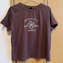 HONOLULU HAWAII 刺繍 Tシャツ ブラウン　ストリート　y2k