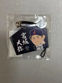 鏡谷好浩様 リクエスト 2点 まとめ商品