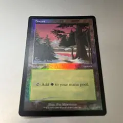 mtg Foil 平地 サーガ アリーナFoilランド 英語 en USG 3枚 mtg Foil 平地 サーガ アリーナFoilランド 英語 en USG 3枚 mtg