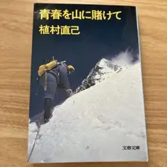 青春を山に賭けて