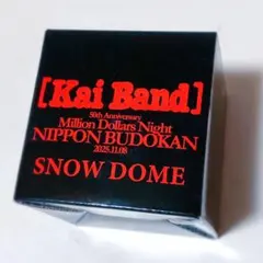 2025年最新】武道館 甲斐バンドの人気アイテム - メルカリ