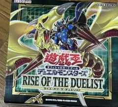 2025年最新】ライズオブザデュエリストの人気アイテム - メルカリ