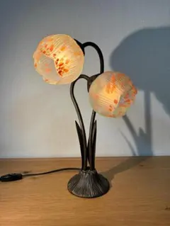 2025年最新】HOYA 花あかりの人気アイテム - メルカリ