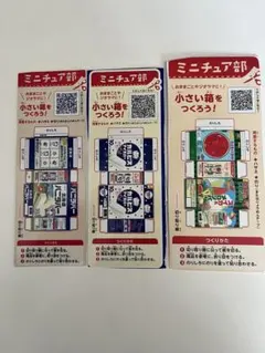 ミニチュア部 小さい箱をつくろう！ 3種セット