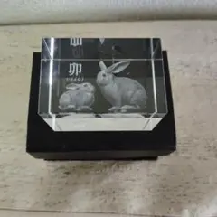 うさぎ　クリスタル　置物　卯　USAGI