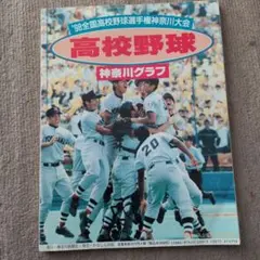 Item thumbnail for item 5ef05da8-6b6a-4bfa-9717-bf2c0402610c