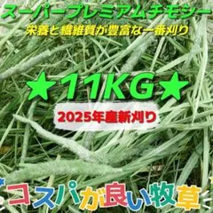 Item thumbnail for item 68971870-108e-4471-be5f-ed1164b92e78