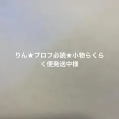 りん★プロフ必読★小物らくらく便発送中様