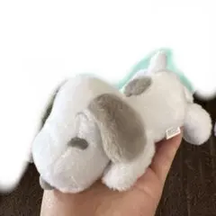 犬のぬいぐるみ ホワイト・グレー　SNOOPY