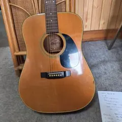 Morris アコースティックギター W-15