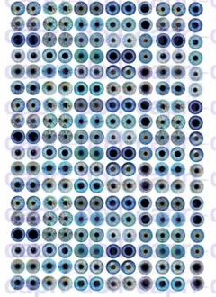 ブライス・アイシードール・アイシート