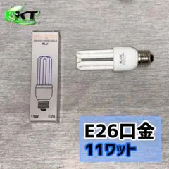 【SLIDE（スライド）】カラー電球形蛍光灯 青色
