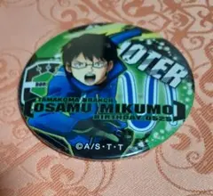 Item thumbnail for item 39ac35f4-611f-4cc8-988e-0f62068e776b