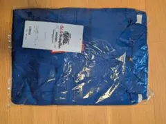 Item thumbnail for item 2dfbbfd0-8cfc-48da-a2eb-5f4a5701d7f7