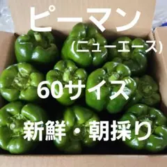 新鮮青パパイヤ箱込み2.5キロ - メルカリ