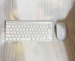 magic mouse PC周辺機器