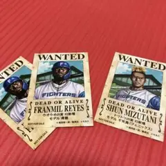 FIGHTERS WANTED シールセット
