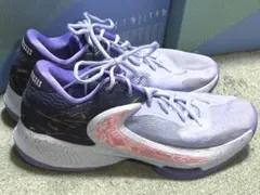 ズームフリーク4