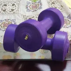 15kg 紫 ダンベル　2個セット