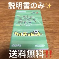 カルチョビット ゲームボーイアドバンス説明書のみ　送料無料‼️