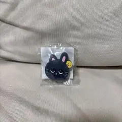 RIIZE ウォンビン ミニうちわキーホルダー D賞 オンラインくじ