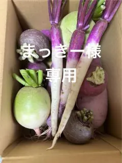 まっきー様専用