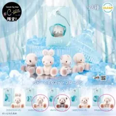 ベビーくまカステラ　フローズン