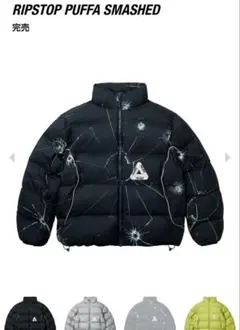 2025年最新】PALACE メンズ ダウンジャケットの人気アイテム
