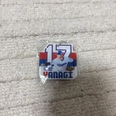 中日ドラゴンズ 柳裕也 キーホルダー