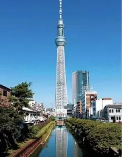 radiko大好きさま専用20260825