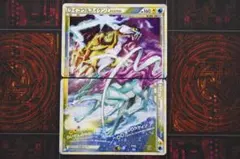 ライコウ ＆ スイクン LEGEND 上下セット 45-EY1114-08C