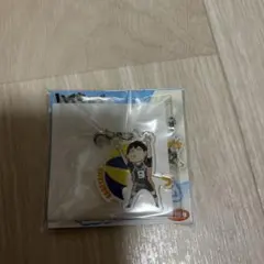 ハイキュー アンブレラチャームコレクション 影山飛雄
