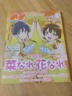 【付録付き】Megami Magazine　メガミマガジン　2024年10月号