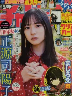 Item thumbnail for item 1c8cd1b0-612b-4de7-b838-b03d48b39d86