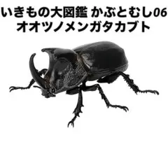 【新品未開封】 かぶとむし06 生き物大図鑑 カブトムシ オオツノメンガタカブト